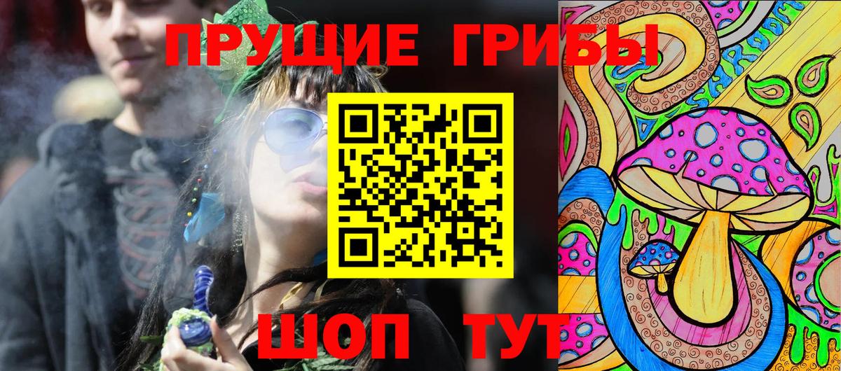 Псилоцибиновые грибы Psilocybe Алапаевск