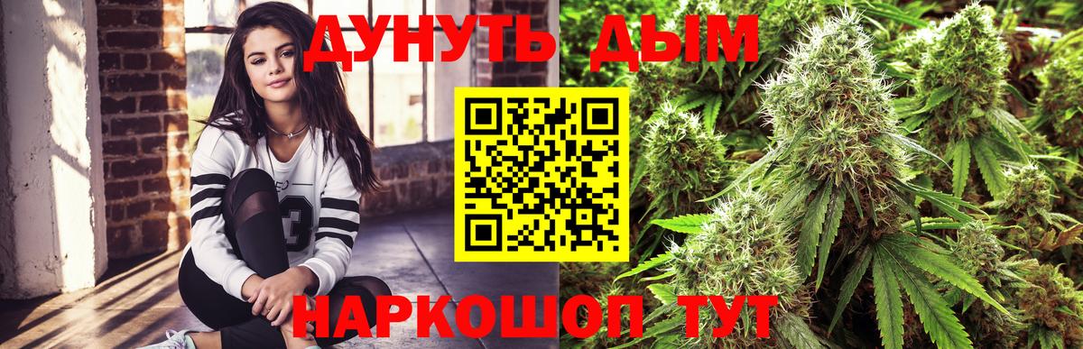 Шишки марихуана OG Kush  Бошки Шишки план  Алапаевск  Каннабис сатива  МАРИХУАНА семена  Вход с VPN 
